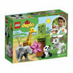 Poza cu LEGO DUPLO Town - Pui de animale 10904